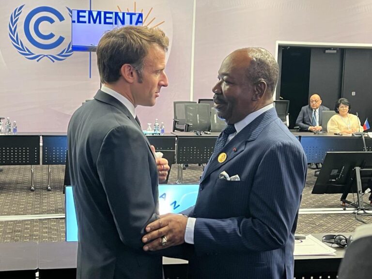 Le Sommet International sur l’Environnement se tiendra en mars 2023 au Gabon
