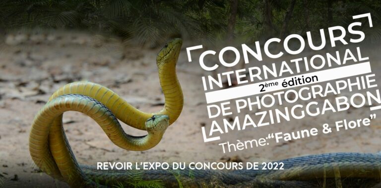 2ème édition du Concours national de photographie Amazing Gabon