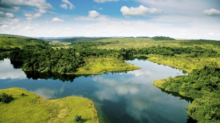 Emmanuel Macron présent au Gabon à l’occasion du One Forest Summit