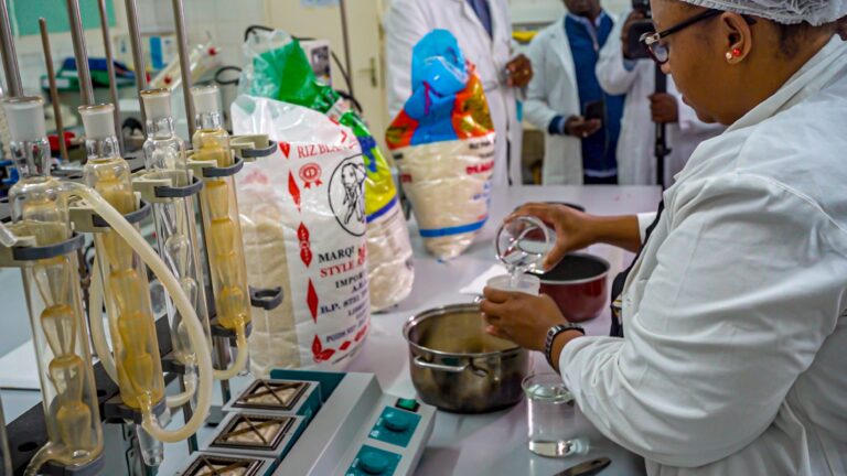 Gabon : les spécialistes sont unanimes, il n’y a pas de riz « plastique » dans le pays