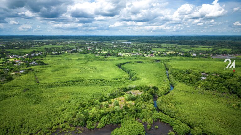 Gabon : 50 ans de leadership en matière de protection de l’environnement