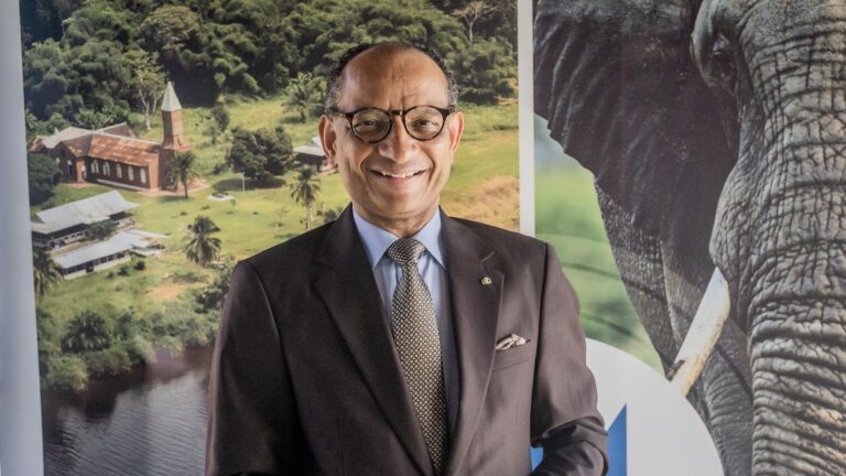 COP 28 : « Nous attendons la récompense de notre engagement », Guy Rossatanga-Rignault