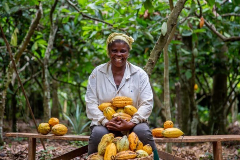 Gabon : vers la relance de la filière CAFÉ CACAO