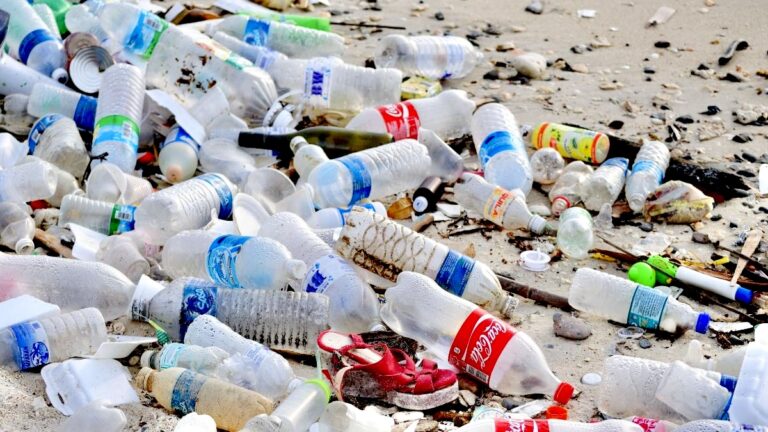 ANUE : le Gabon s’engage à lutter contre les pollutions par le plastique à usage unique