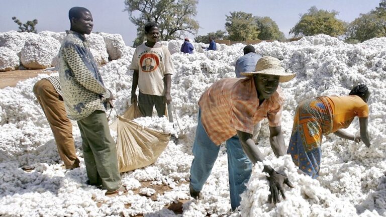 CM13 : le C-4 demandent la suppression des subventions du coton africain