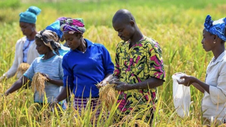 Niger : US Eximbank octroie 117.5 milliards de FCFA pour développer le secteur agricole