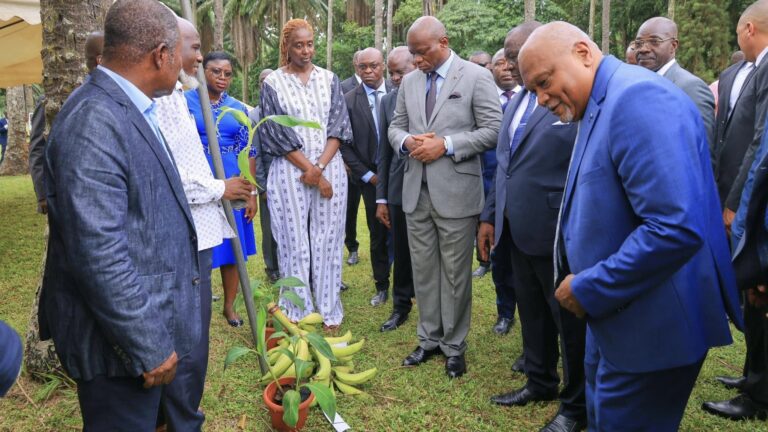 Agriculture : le Gabon s’inspirerait de la Côte d’Ivoire