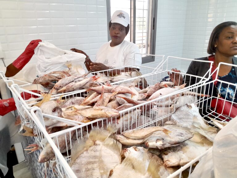 Gabon : la 2ᵉ phase de la foire aux poissons est lancée depuis ce lundi