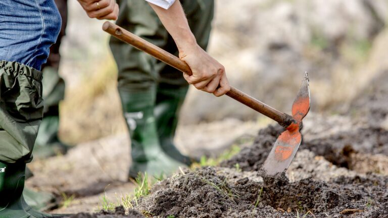 Gabon : 1300 emplois créés dans l’économie verte en 2023