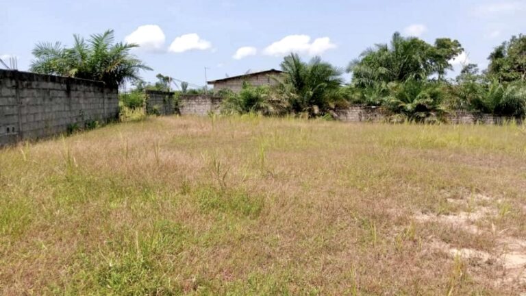 Foncier : qui détermine le prix du mètre carré au Gabon ?