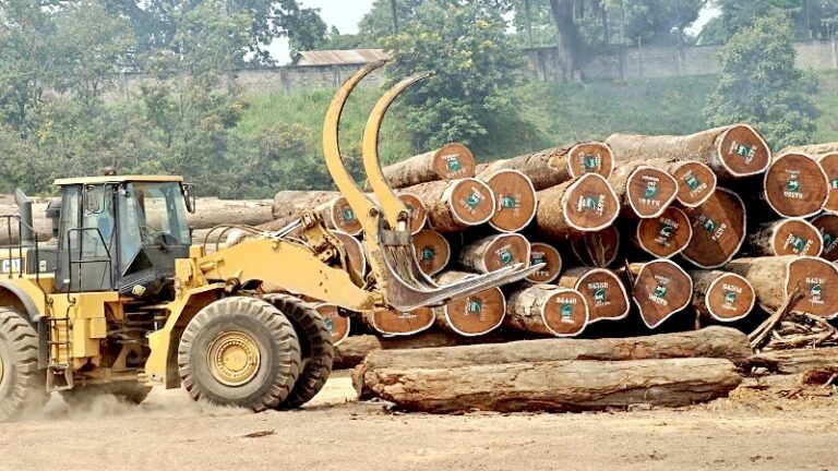 Le Gabon publie les contrats forestiers, un pas de plus vers la transparence