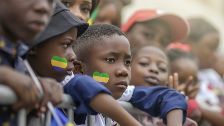 Projet de Constitution : quelle évolution pour la démocratie ?