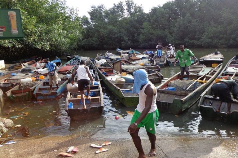 Gabon : vers une réorganisation de la DGPA