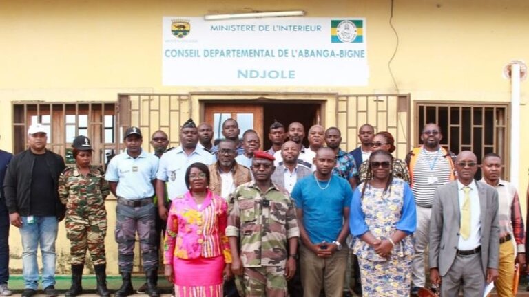 Gabon : vers le transfert des compétences de l’État aux collectivités locales