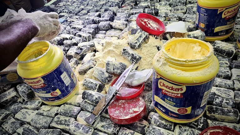 Gabon : plusieurs tablettes de tramadol d’une valeur de plus d’1 milliard de FCFA, saisies par la DGSS