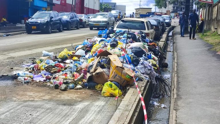 Gabon : la lutte contre l’insalubrité, une affaire de civisme et de responsabilité collective
