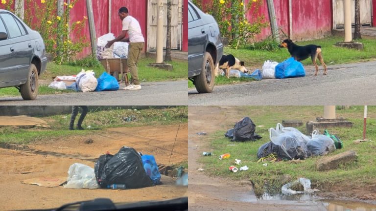 Libreville : l’incivisme des populations plombe les efforts de collecte des ordures